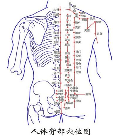 背部中間有痣|圖解背部6大經典痣的位置及寓意